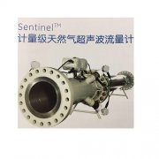 Sentinel计量级流量计