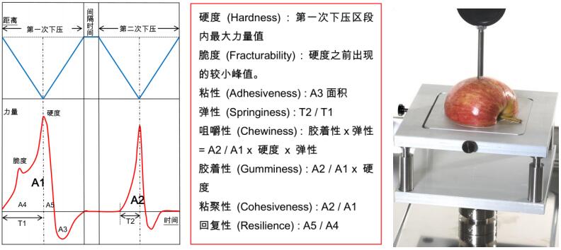 质构原理