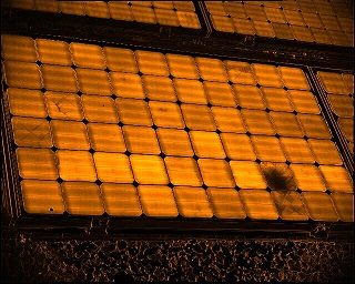 EL测试系统